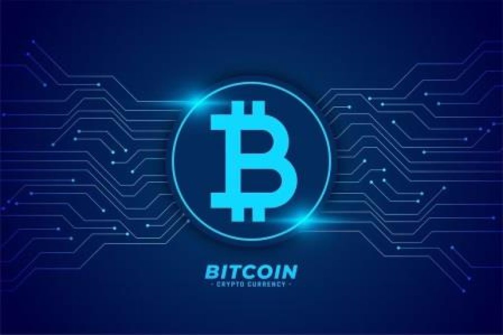 Bitcoin investor